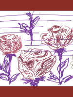 19-c-sottocornola-roses-ispirato-alla-copertina-del-cd-di-franco-battiato-fleurs-1999